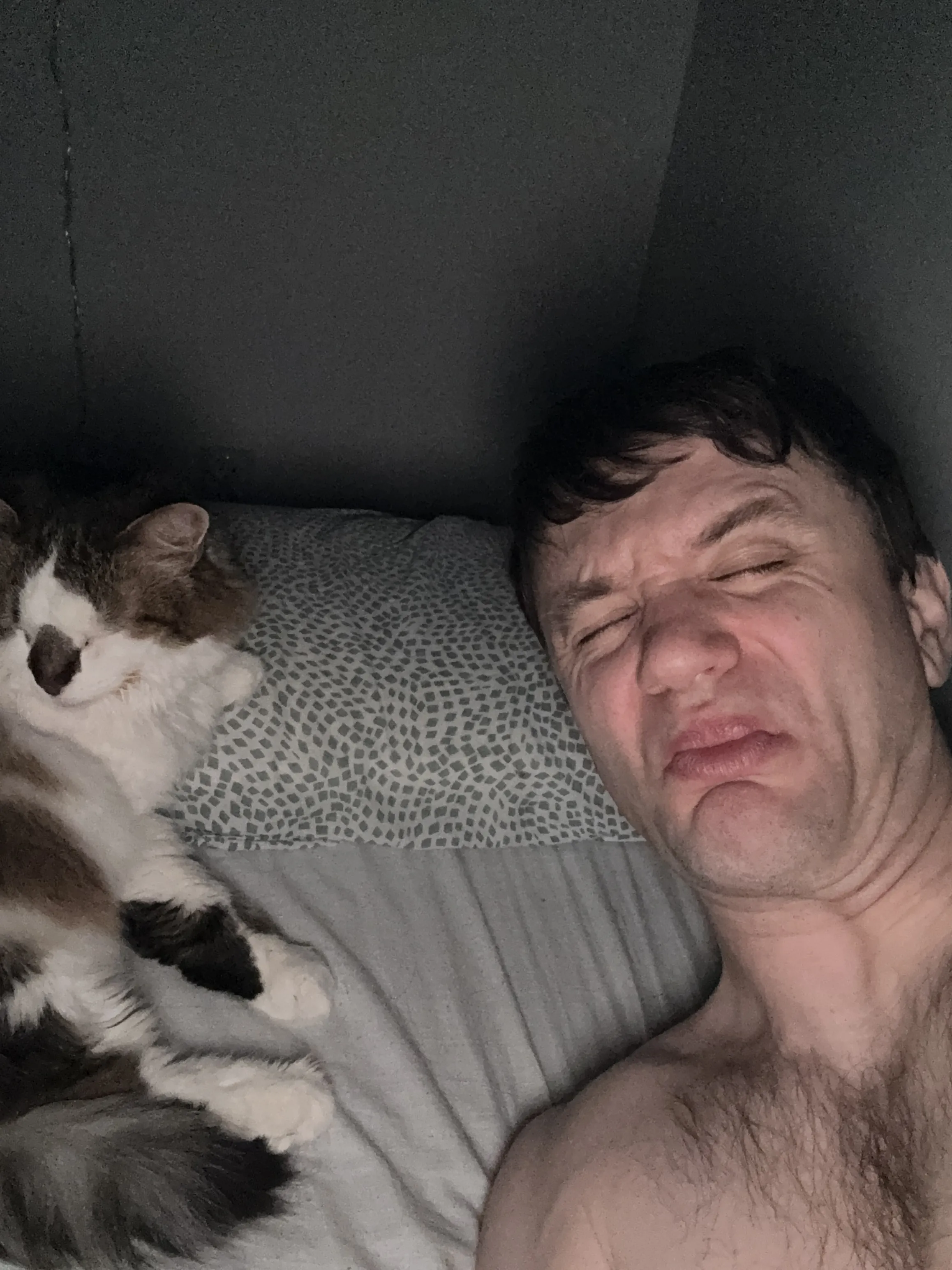 My cats 6